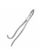 Tooth Forceps (SS)
